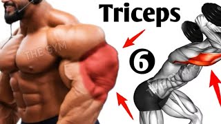 Triceps Workout 🏋️gymmitivation tricepsworko gymlife gymstatus workoutmotivat gymworkoutvlog [upl. by Dusen]