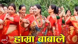 New Nepali Teej Song  Hamra Babale  Haridevi Koirala [upl. by Narmis]