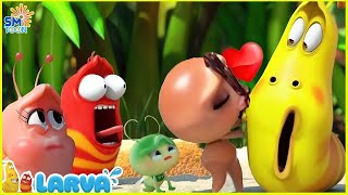 LARVA SEASON 2 EPISODE 03  103 🍟 CARTOONS MOVIES NEW VERSION  COMICS  MINI SERIES FROM ANIMATION [upl. by Yeroc]