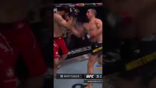 Khamzat Chimaev 💀 Savage Finish shorts youtubeshorts ufc mma ufc308 fyp new champion reels [upl. by Dwyer]