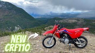 STOCK CRF110 CLIMBS MOUNTAIN [upl. by Hsejar]