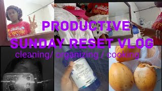 Productive Sunday Reset Vlog l cleaning l organizing l cooking etc [upl. by Moitoso]