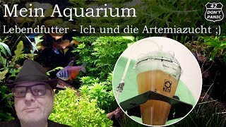 Lebendfutter  Ich und die Artemiazucht   Mein Aquarium 77 [upl. by Joerg]