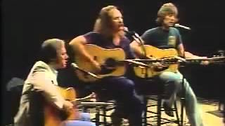 Teach the children well with lyrics Crosby Stills [upl. by Auoh]