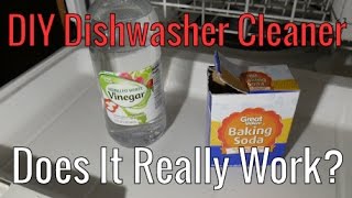 DIY Dishwasher Cleaner  Does It Really Work [upl. by Abe961]