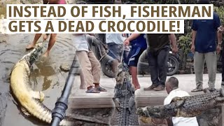 Crocodile Unexpectedly Dies in Fishermans Fish Trap  Trans 7 Global 231123 [upl. by Naivaj]