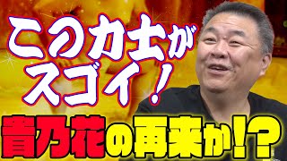 【期待！】貴乃花の再来か！？初場所 有力力士は！？宮城野部屋はケガが多い！？ [upl. by Tdnaltroc]