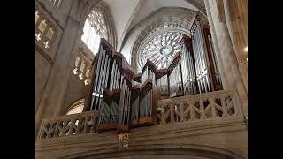 Catedral de Santiago Bilbao [upl. by Tezil615]