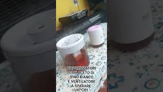 UMIDIFICATORE VAPORIZZATORE CON ACETO DI VINO BIANCO E UN VENTILATORE A SPARARE I VAPORI [upl. by Hesper]