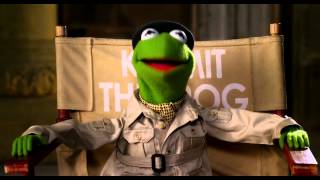 Kermit The Frog 10 Day Countdown  Muppets Most Wanted  The Muppets [upl. by Kath]