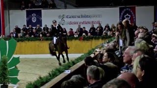 Campitello 2011 by Cador  Quick Star Stallion Show Sosath 2016 [upl. by Moselle]