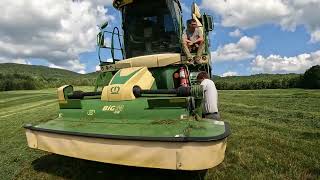 Chopping some heifer feed [upl. by Heber]