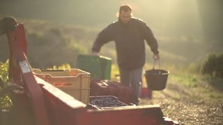 IDFA 2016  Trailer  Priorat [upl. by Llekim]