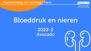 7 Examenvraag van vandaag  Havo  20222 Avocado [upl. by Tawnya]