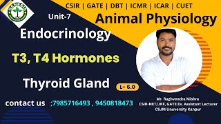 Thyroid Gland  Biosynthesis of T3 amp T4 Hormones  Animal Physiology  Unit7 genesisinstitute [upl. by Andrews]