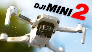 Best 4K Drone for the Money DJI Mini 2 Review [upl. by Elsworth583]