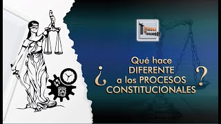 Procesos Constitucionales Particularidades  TRR  361 [upl. by Hareehahs51]