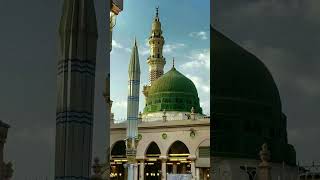 Paigham e saba lai hai shortsfeed shortvideo muhammadﷺ [upl. by Nosyerg32]