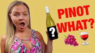 Pinot Grigio vs Pinot Gris  Best Sweet Wines for Beginners [upl. by Acirederf]