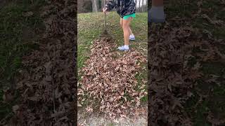 RAKING LEAVESshort [upl. by Lehcim824]