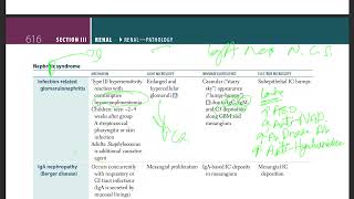 31 Nephritic syndrome  Infection related glomerulonephritis  IgA nephropathy  RPGN [upl. by Ynafit885]