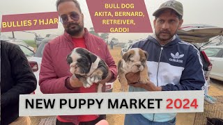 New Puppy market in India at cheapest rates Wholesale Dog market outside Khanna Dog show 2024 [upl. by Recha]