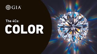 4Cs of Diamond Quality Diamond Color Grading by GIA [upl. by Brader976]