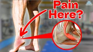 5 BEST Peroneal Tendinopathy Rehab Exercises [upl. by Meisel]