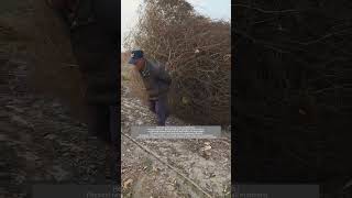 Process of Manually Dragging Tumbleweeds [upl. by Elleraj]