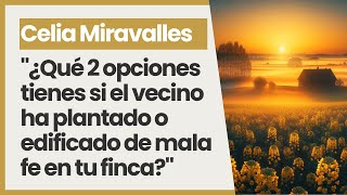 quot¿Qué 2 opciones tienes si el vecino ha plantado o edificado de mala fe en tu fincaquot [upl. by Cilo891]