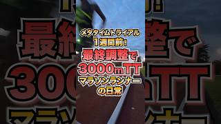 長距離ランナーの王道トレーニング321km長距離マラソン [upl. by Ashton814]