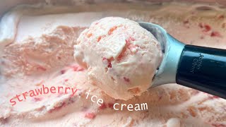 3Ingredient Strawberry IceCream Recipe [upl. by Jereme243]