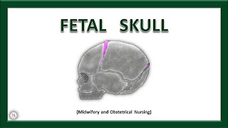 FETAL SKULL  Bones  Sutures  Diameters  Fontanels  Anatomy  OBG Lecture  The Nurses Station [upl. by Blane634]