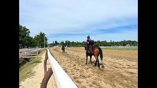 Charlie Appleby on Mysterious Night Saratoga and stabling a string here [upl. by Buddie]