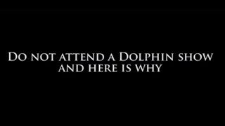 Do not Buy a Ticket  Cirque Du Liban Dolphinarium [upl. by Adnihc]