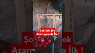 Pulsuz Meyvələr  Azərbaycanda İlk maraqlivideolar meyve mizah [upl. by Neddy215]