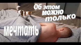 Умный пёс помогает проснуться Smart dog helps wake up [upl. by Alehc51]