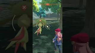 Shiny Cherry Hunt Day 12 pokemon shinypokemon [upl. by Rather]