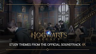 Hogwarts Legacy Soundtrack Study Themes  Focus on What You Need 9 [upl. by Wootten]