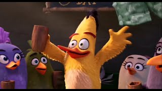 Best of Chuck  The Angry Birds Movie [upl. by Bergeman192]