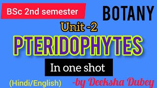 Pteridophytes  in one shot BSc 2nd semester botany unit 2 bsccrashbiologybscbotanypteridophytes [upl. by Jeanine]