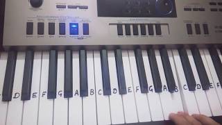 Chandi jaisa rang hai tera on Keyboard PianoCasio [upl. by Publus]