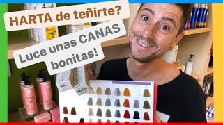 4 pautas para pasarse a las CANAS y dejar los tintes Luce ORGULLOSA tu nuevo look de canas [upl. by Primaveria953]