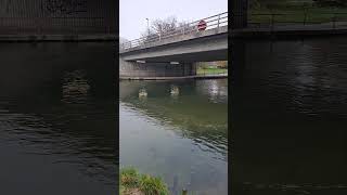 quick sesh on the river itchen [upl. by Heron]