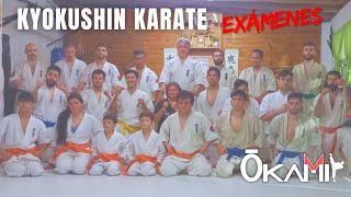 Resumen de exámenes de Kyokushin en Ôkami Dojo [upl. by Nrojb]