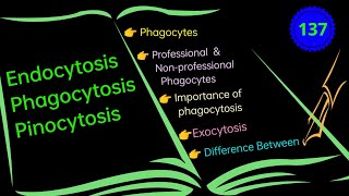 Endocytosis Phagocytosis and Pinocytosis EnteMicrobialWorld microbiology biology microbes yt [upl. by Naitsirt387]