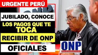 ONP Jubilado conoce los pagos que te toca recibir TE DECIMOS LAS BONIFICACIONES Y DEVENGADOS [upl. by Jp]