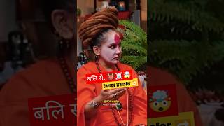 शेरू और भूतिया क्रूज शिप 🚢 shorts  horrorstory  ghoststory  ai bhoot [upl. by February]