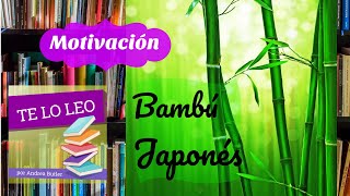 BAMBÚ JAPONÉS  Leyenda Zen  motivación  Relato leído por Andrea Butler Tau [upl. by Tabitha169]