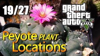 GTA 5  Peyote Plant Locations 1927 [upl. by Woll]